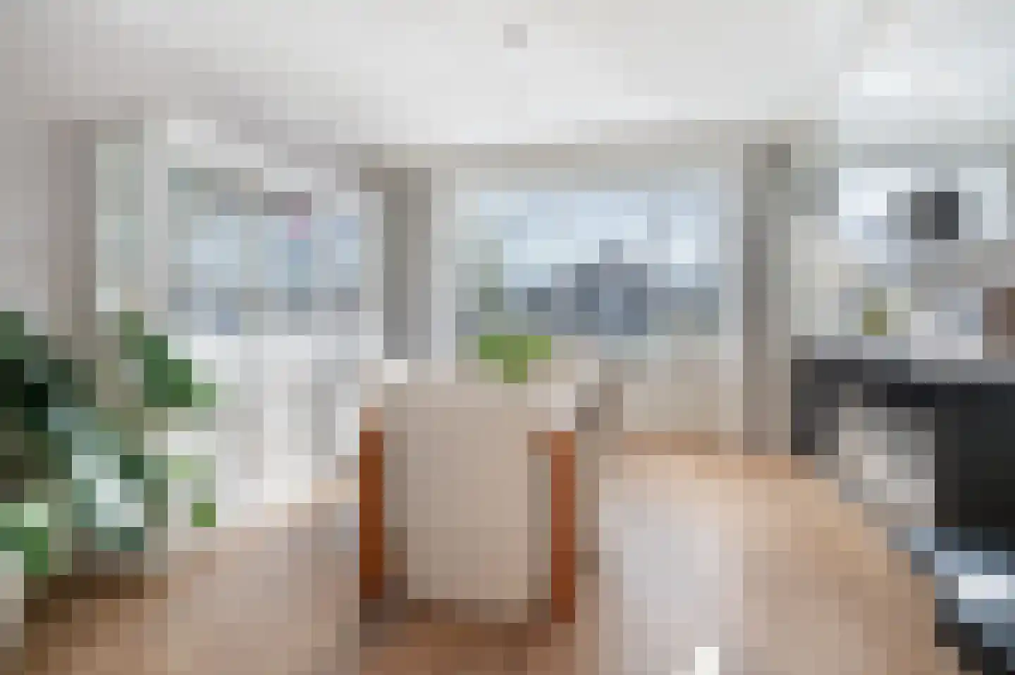 Nieuwe Waalreseweg 2 Valkenswaard thumbnail 12