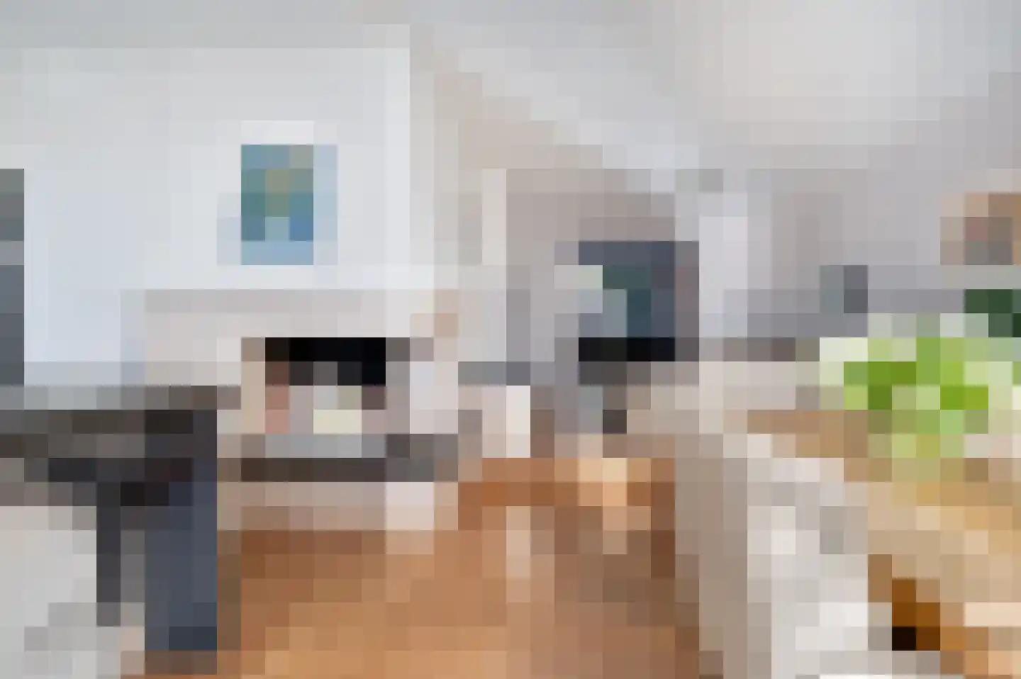 Nieuwe Waalreseweg 2 Valkenswaard thumbnail 18