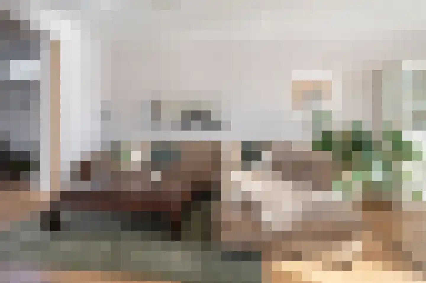 Nieuwe Waalreseweg 2 Valkenswaard thumbnail 19