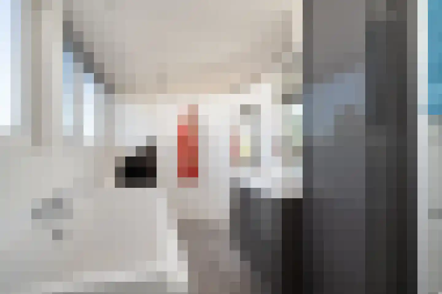 Nieuwe Waalreseweg 2 Valkenswaard thumbnail 40