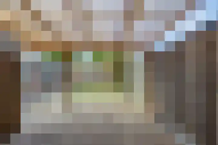 Nieuwe Waalreseweg 49 Valkenswaard thumbnail 18