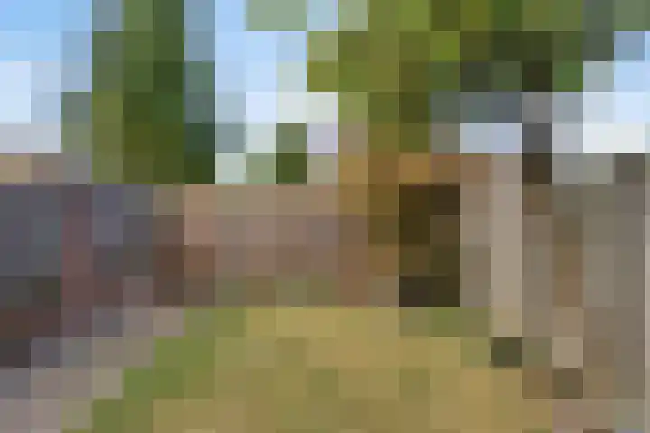 Nieuwe Waalreseweg 49 Valkenswaard thumbnail 19