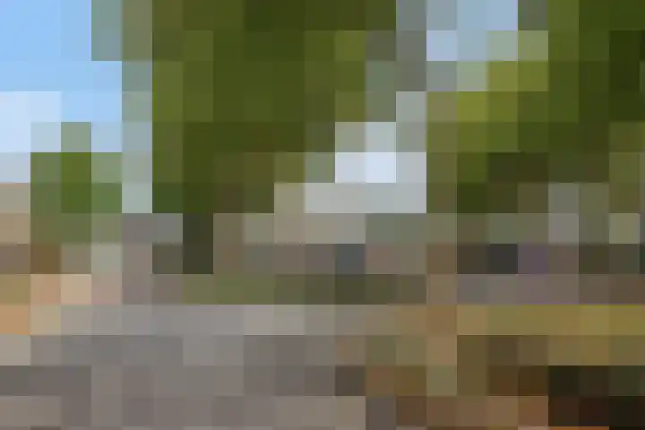 Nieuwe Waalreseweg 49 Valkenswaard thumbnail 22