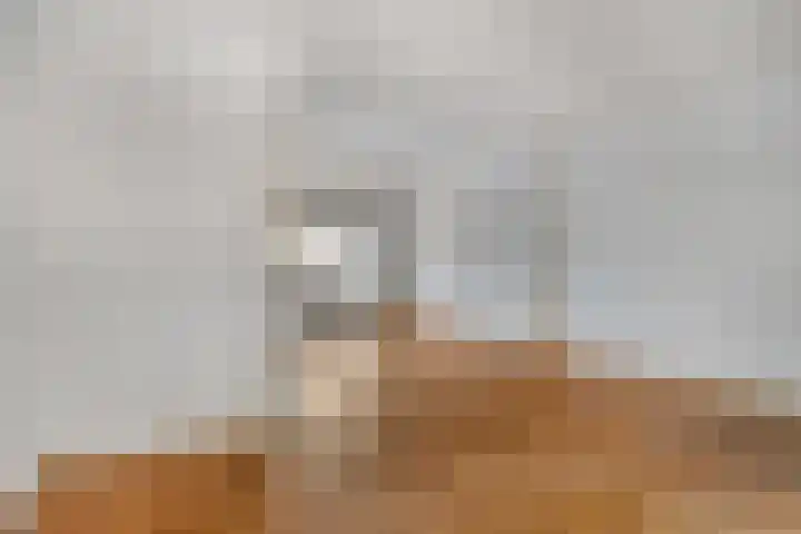 Nieuwe Waalreseweg 49 Valkenswaard thumbnail 4