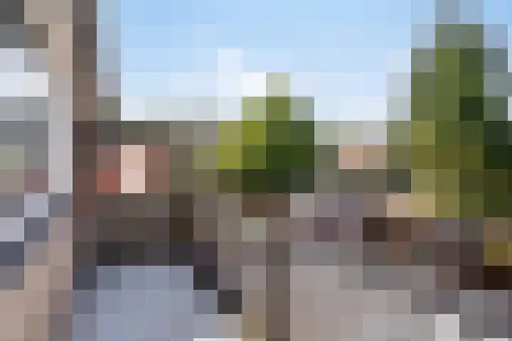 Nieuwe Waalreseweg 49 Valkenswaard thumbnail 7