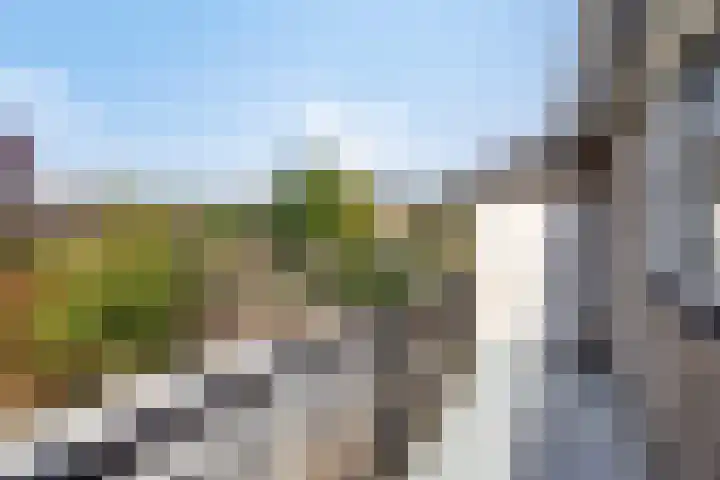 Nieuwe Waalreseweg 49 Valkenswaard thumbnail 8