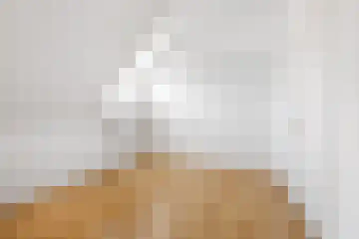 Nieuwe Waardstraat 2 Leiden thumbnail 11