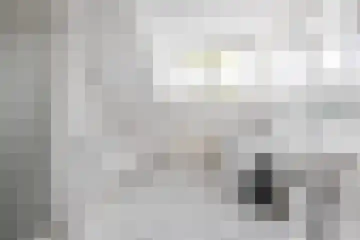 Nieuwe Waardstraat 2 Leiden thumbnail 15