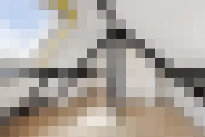 Nieuwe Waardstraat 2 Leiden thumbnail 18