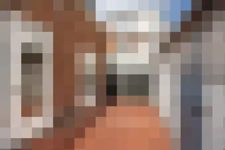 Nieuwe Waardstraat 2 Leiden thumbnail 19