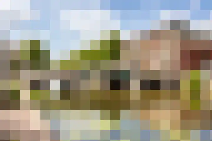 Nieuwe Waardstraat 2 Leiden thumbnail 23