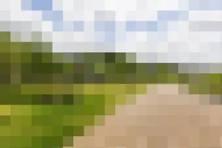 Nieuwe Waardstraat 2 Leiden thumbnail 25