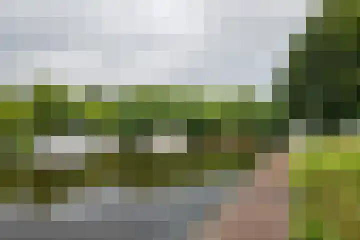 Nieuwe Waardstraat 2 Leiden thumbnail 27