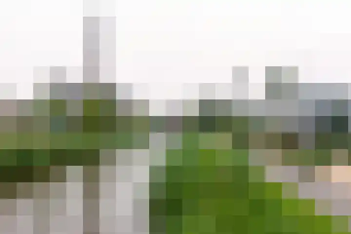 Nieuwe Waardstraat 2 Leiden thumbnail 29