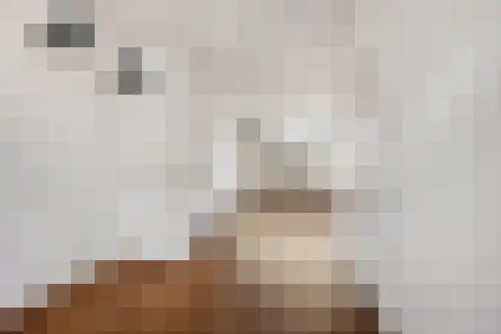 Nieuwe Waardstraat 2 Leiden thumbnail 4