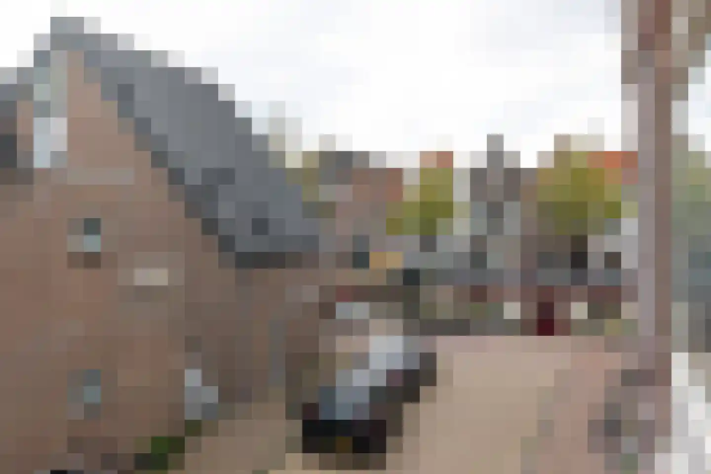 Nieuwe Waardstraat 6 Leiden foto 3
