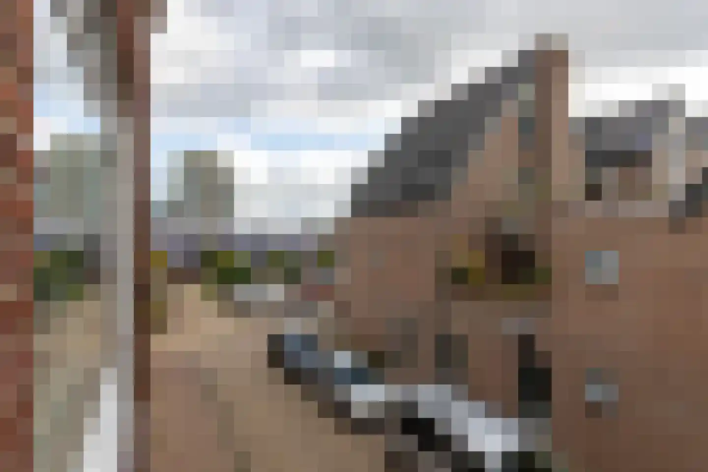 Nieuwe Waardstraat 6 Leiden thumbnail 8