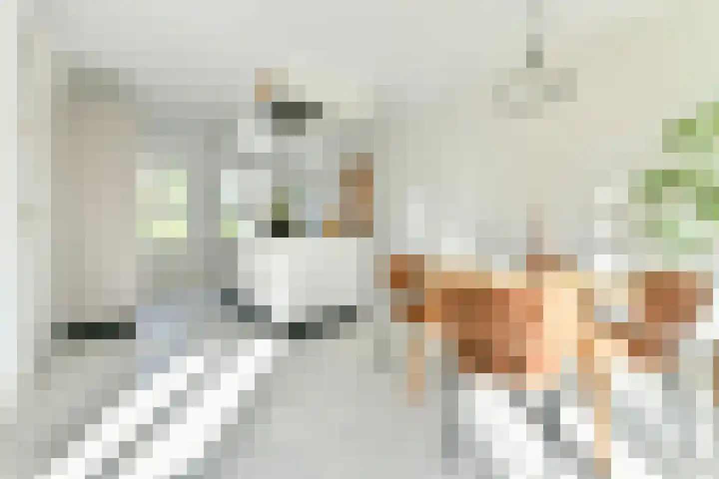 Nieuwe Wagenstraat 8 B Amsterdam thumbnail 10