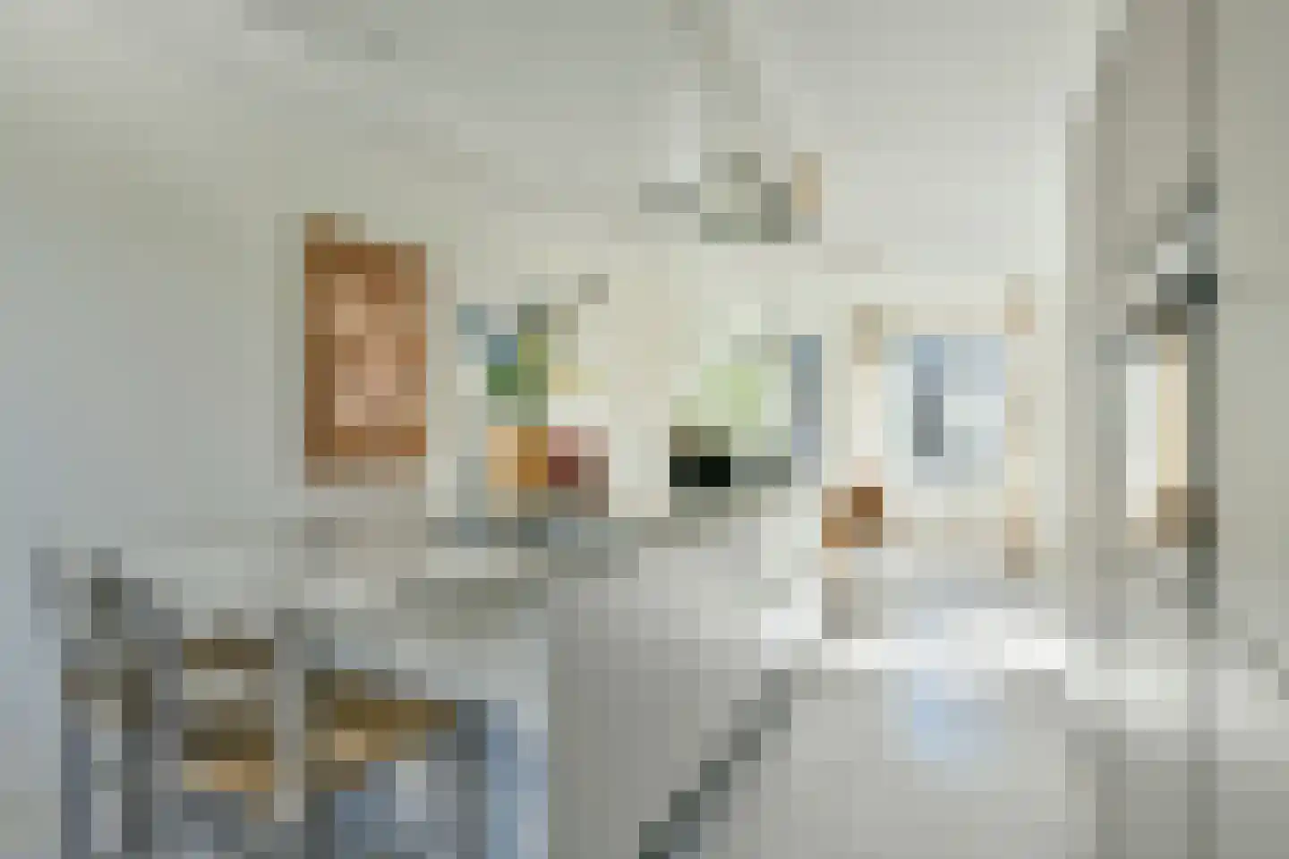 Nieuwe Wagenstraat 8 B Amsterdam thumbnail 12