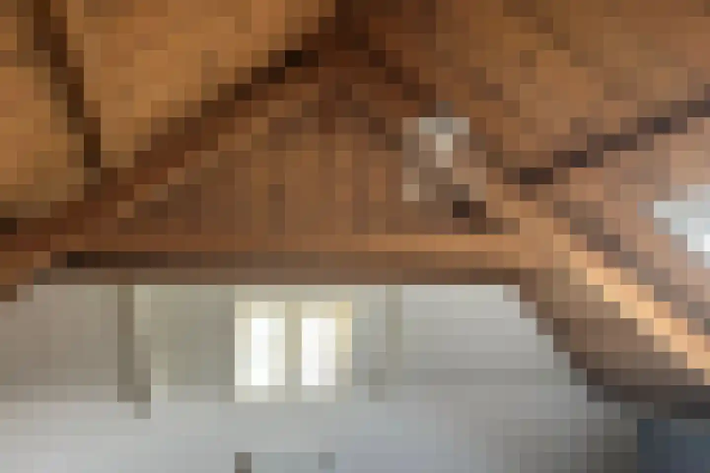 Nieuwe Walsteeg 1 Gorinchem thumbnail 33