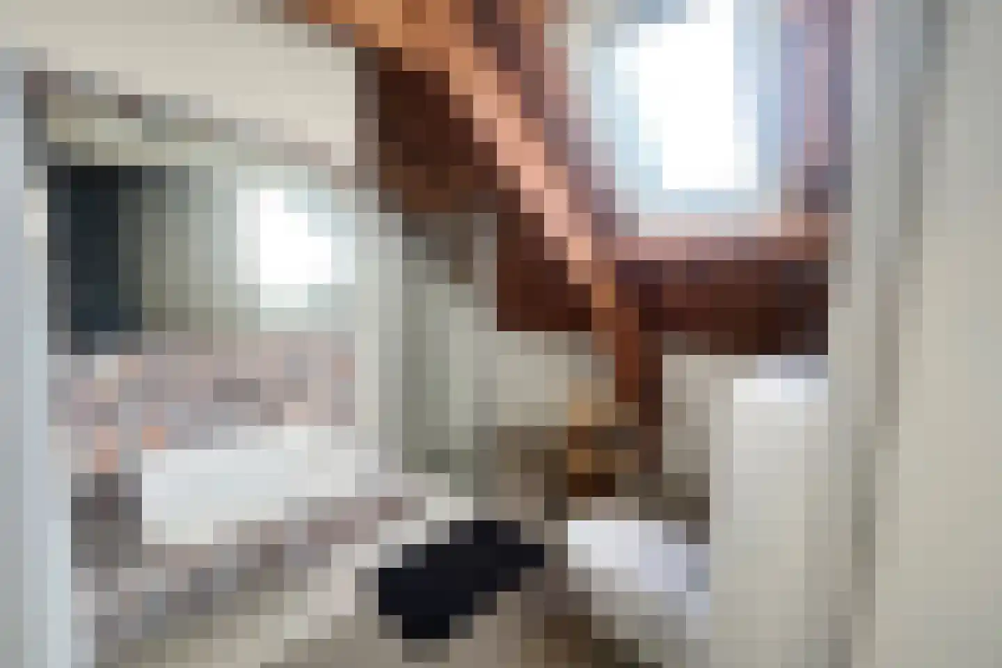 Nieuwe Walsteeg 1 Gorinchem thumbnail 38