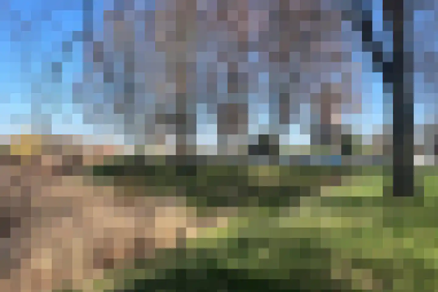 Nieuwe Walsteeg 1 Gorinchem thumbnail 45