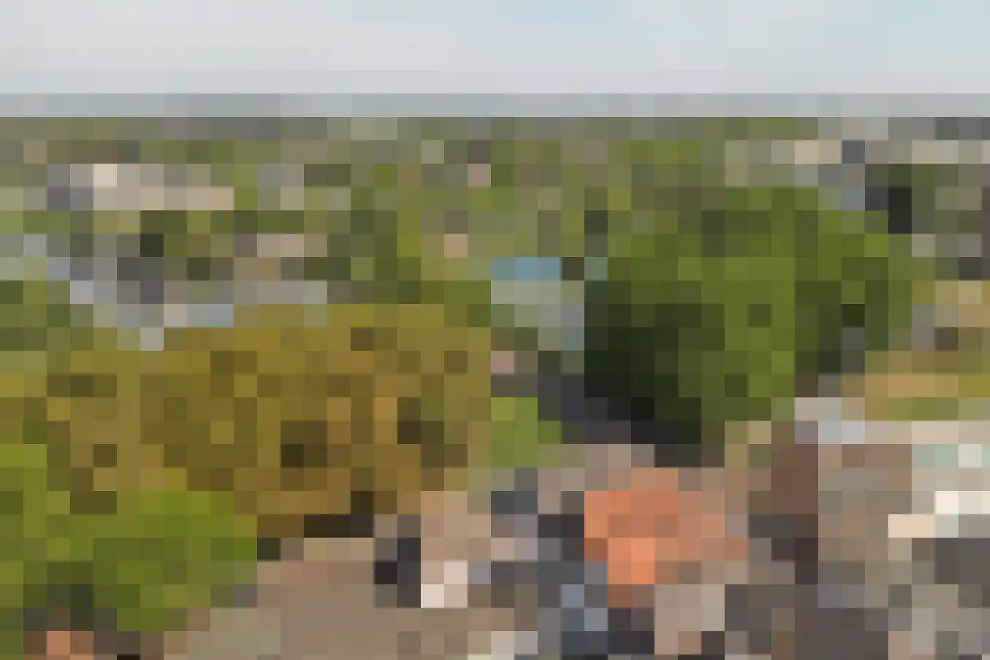 Nieuwe Walsteeg 1 Gorinchem thumbnail 52