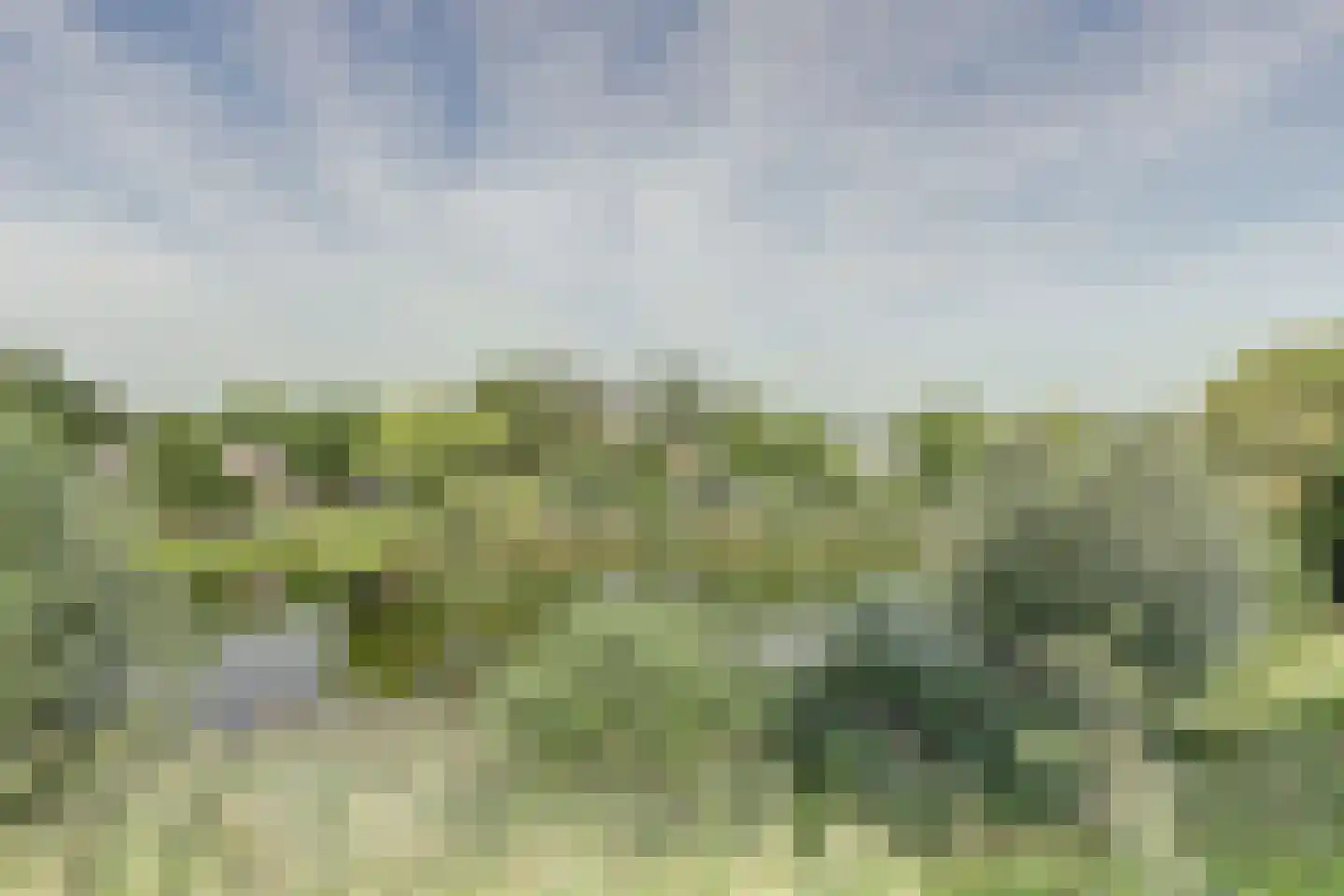 Nieuwe Walsteeg 1 Gorinchem thumbnail 53