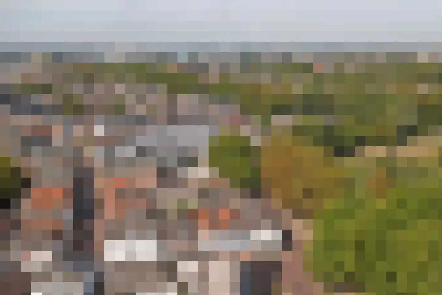 Nieuwe Walsteeg 1 Gorinchem thumbnail 54