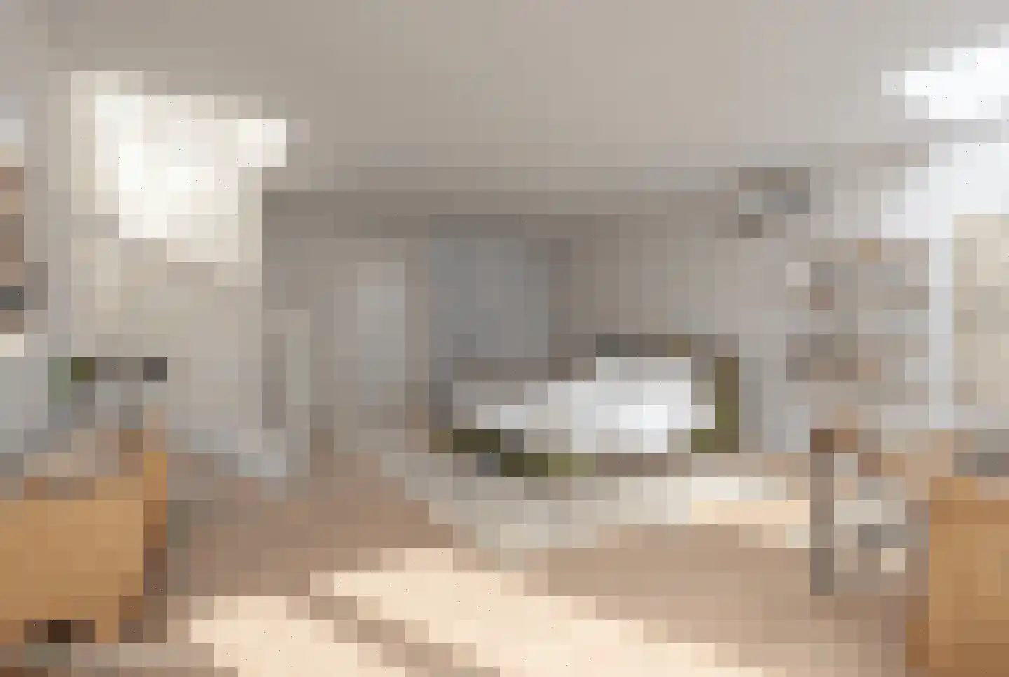 Nieuwe Walsteeg 9 Gorinchem thumbnail 10