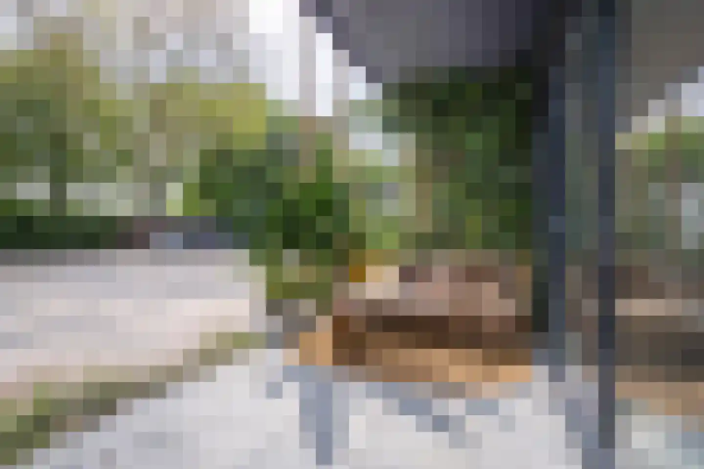 Nieuwe Walsteeg 9 Gorinchem thumbnail 12