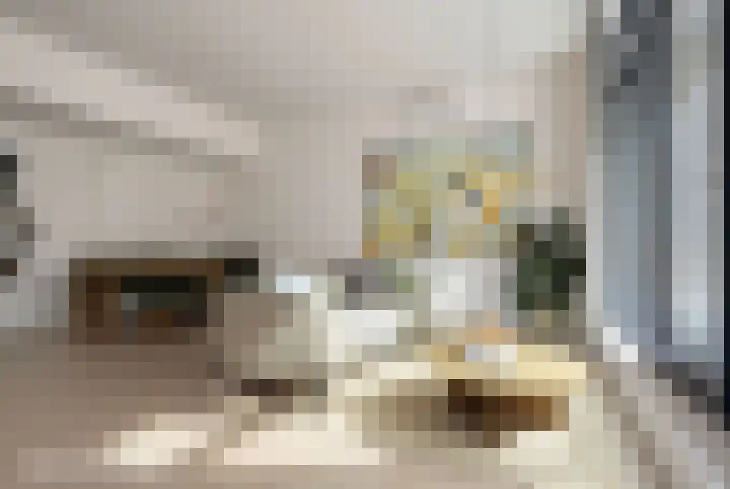 Nieuwe Walsteeg 9 Gorinchem thumbnail 4