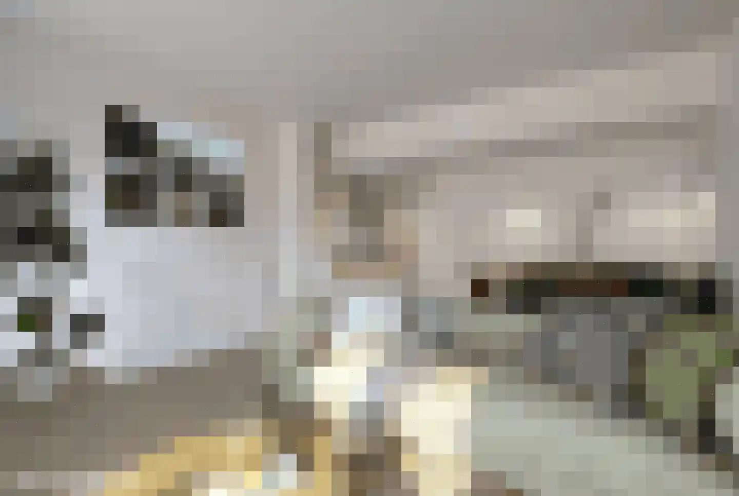 Nieuwe Walsteeg 9 Gorinchem thumbnail 5