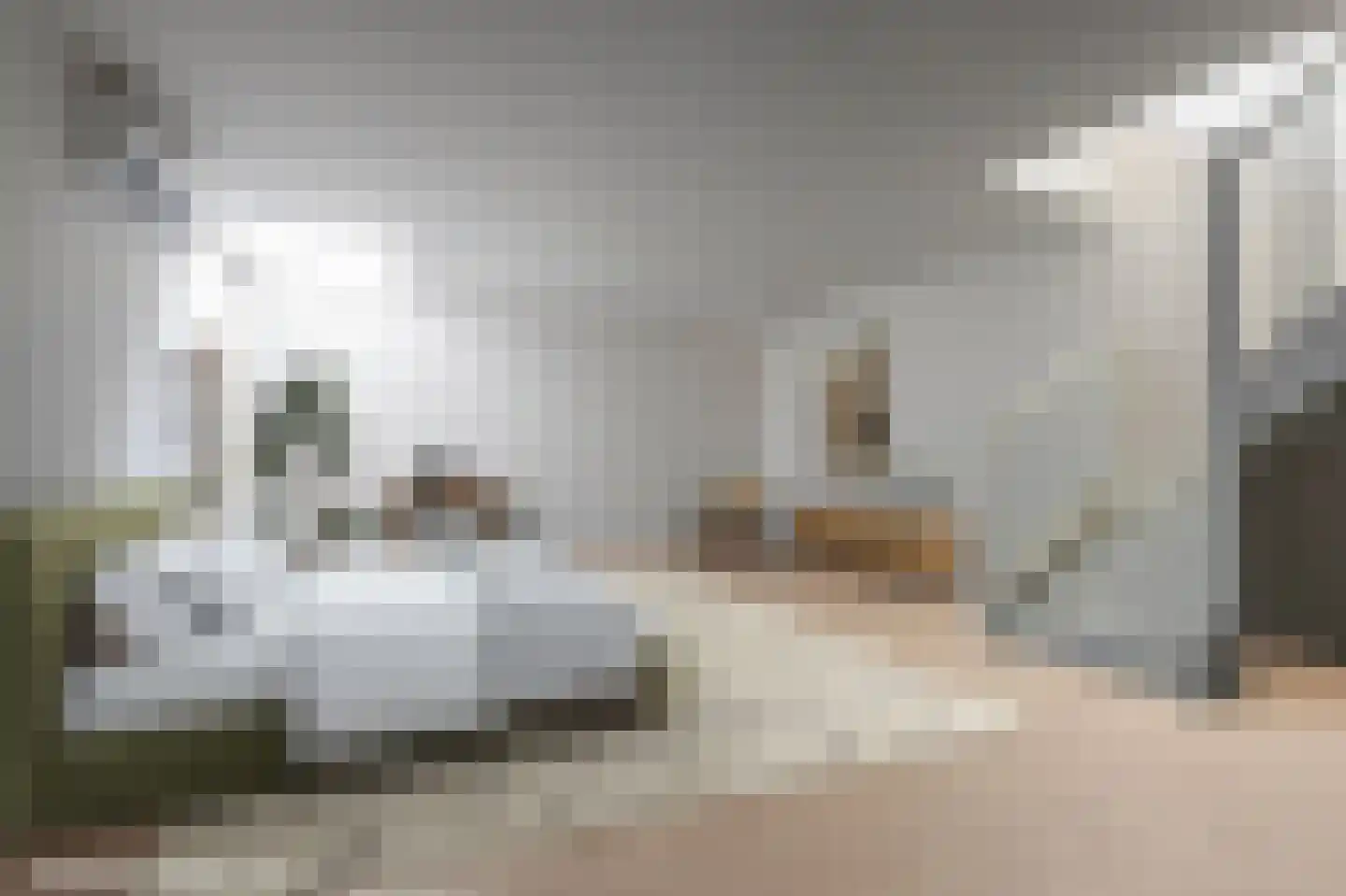 Nieuwe Walsteeg 9 Gorinchem thumbnail 9