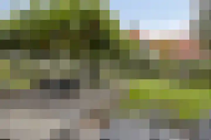 Nieuwe Warande 24 Berkel-Enschot thumbnail 32
