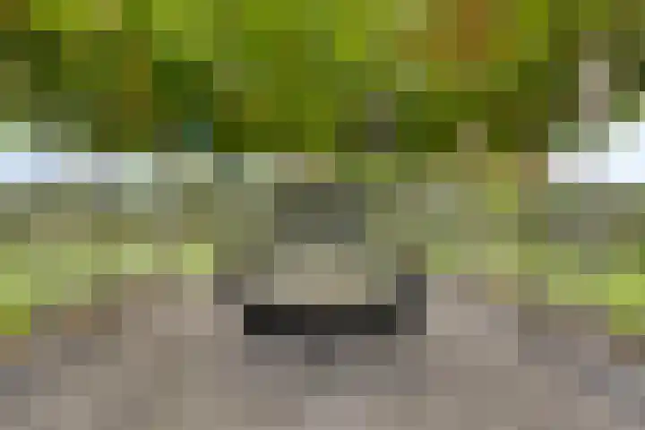 Nieuwe Warande 24 Berkel-Enschot thumbnail 33