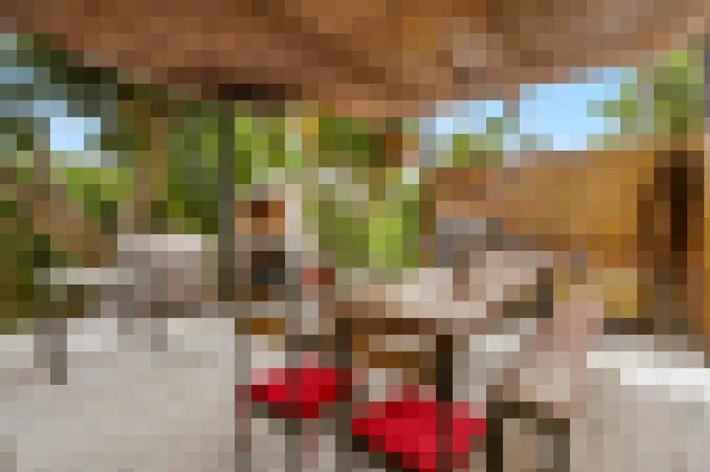 Nieuwe Weg 1 Eede thumbnail 18