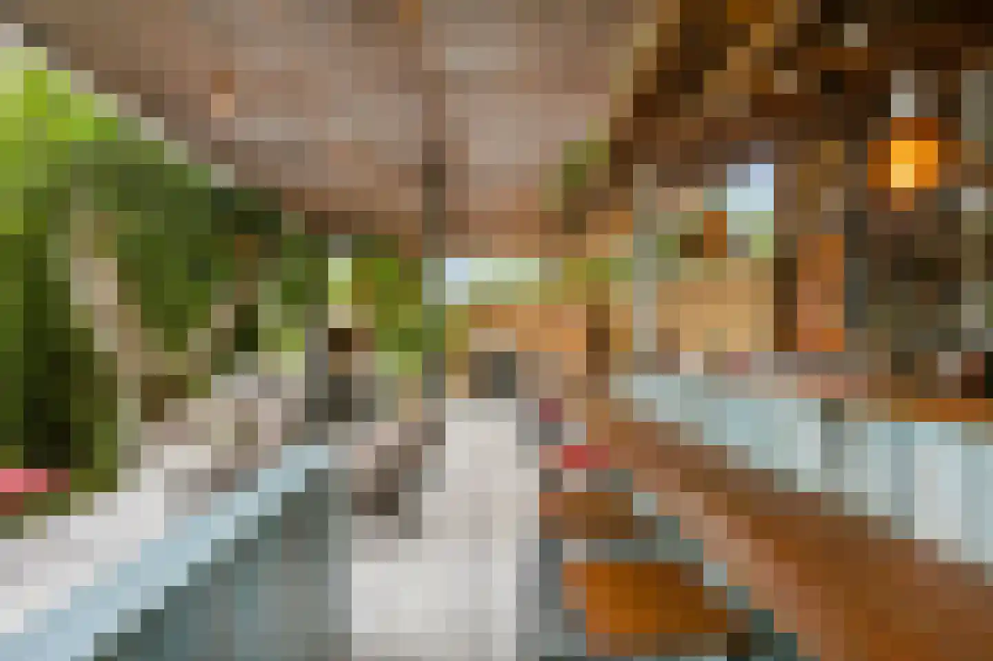 Nieuwe Weg 1 Eede thumbnail 20