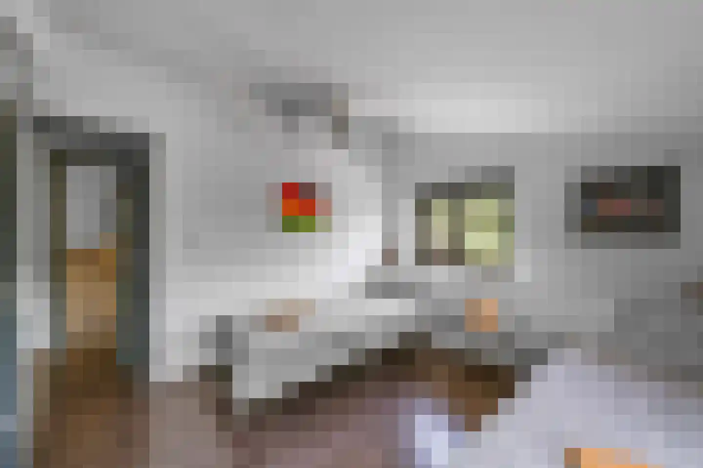 Nieuwe Weg 1 Eede thumbnail 31