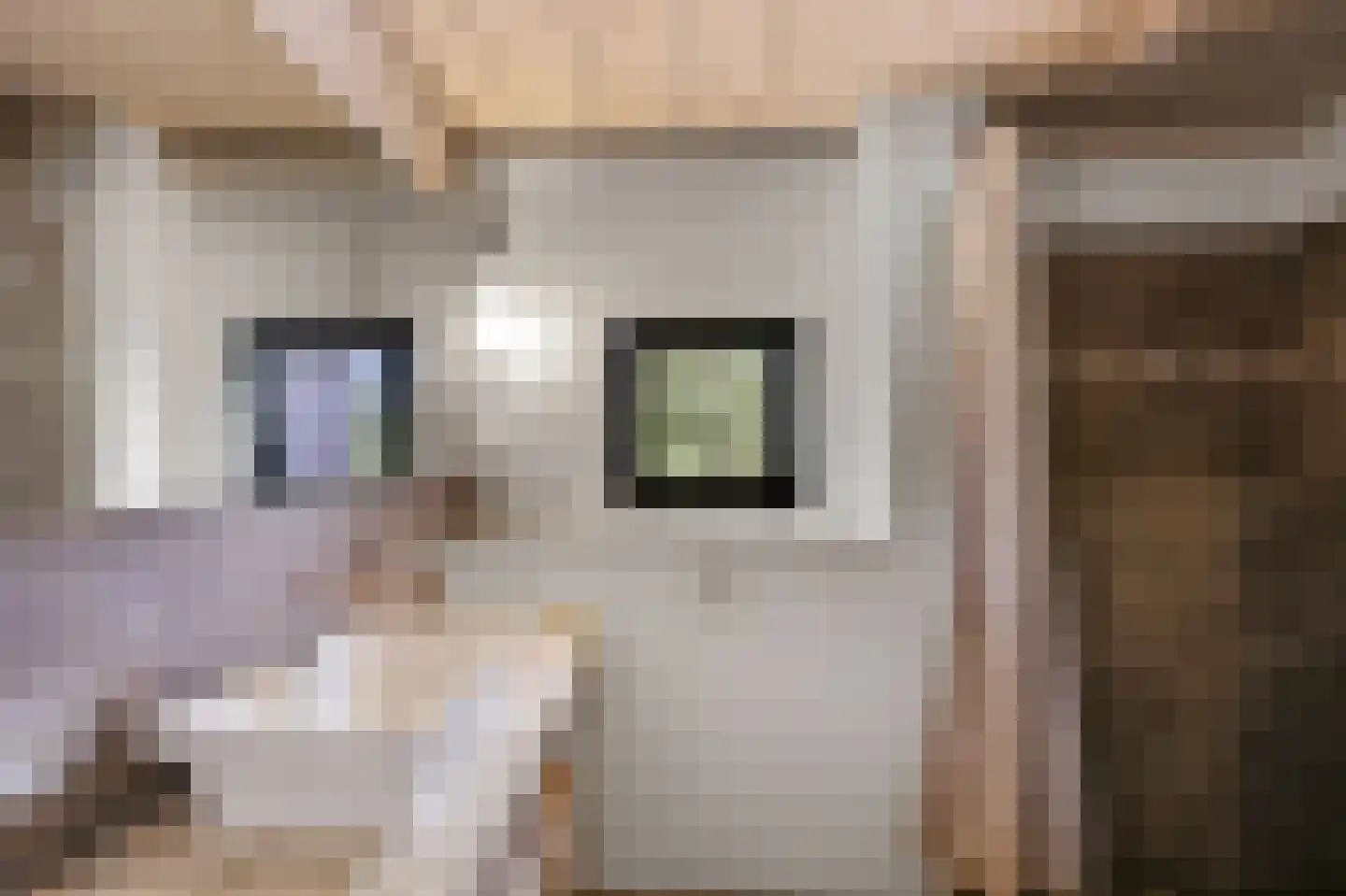 Nieuwe Weg 1 Eede thumbnail 32
