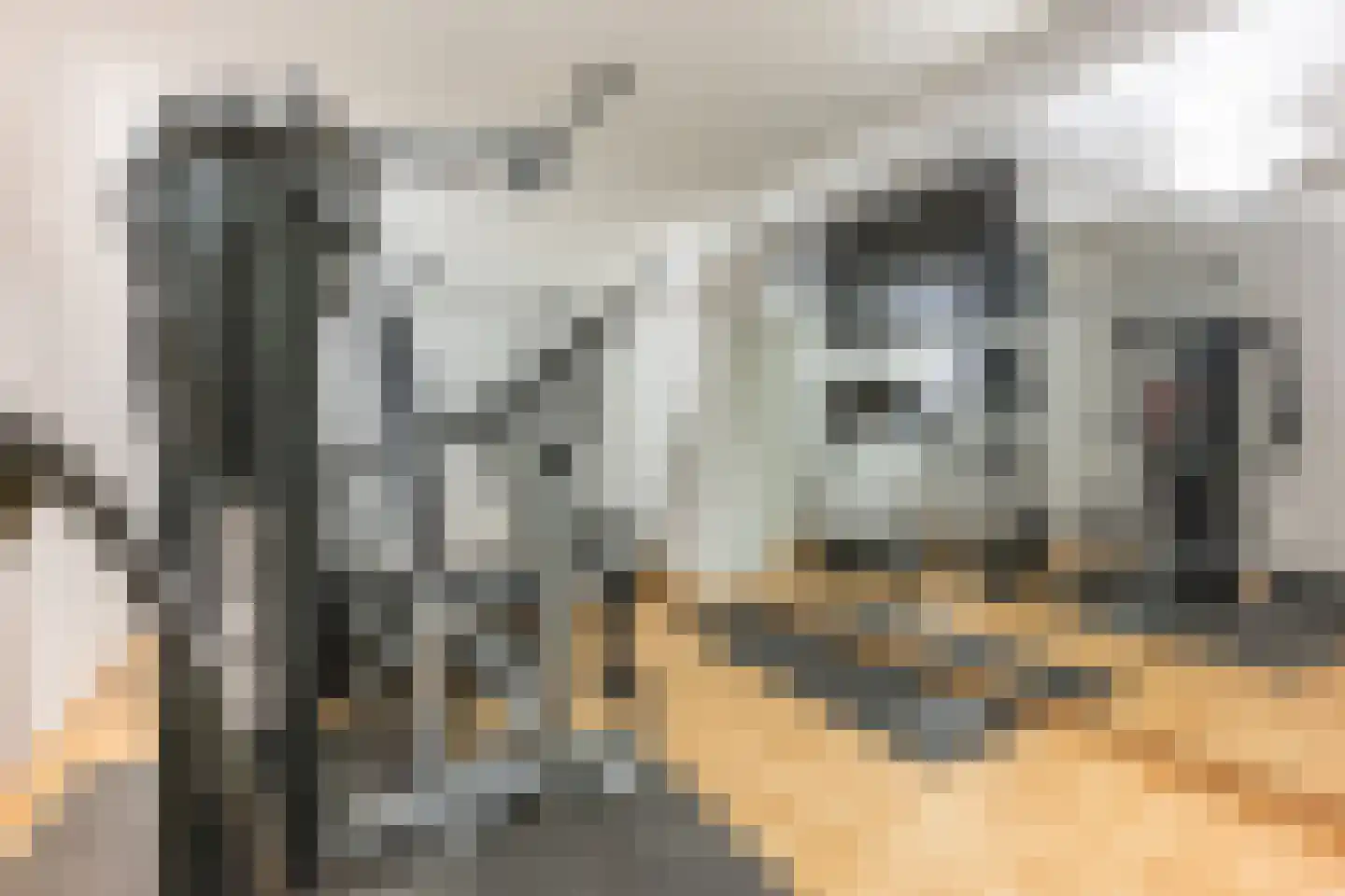 Nieuwe Weg 1 Eede thumbnail 37