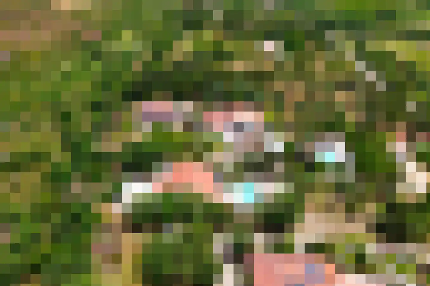 Nieuwe Weg 1 Eede thumbnail 4