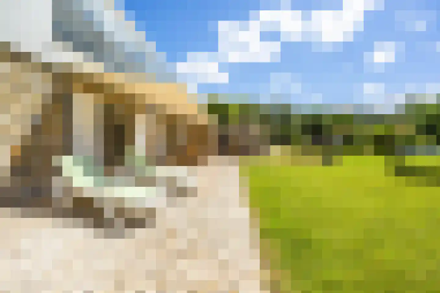 Nieuwe Weg 1 Eede thumbnail 4