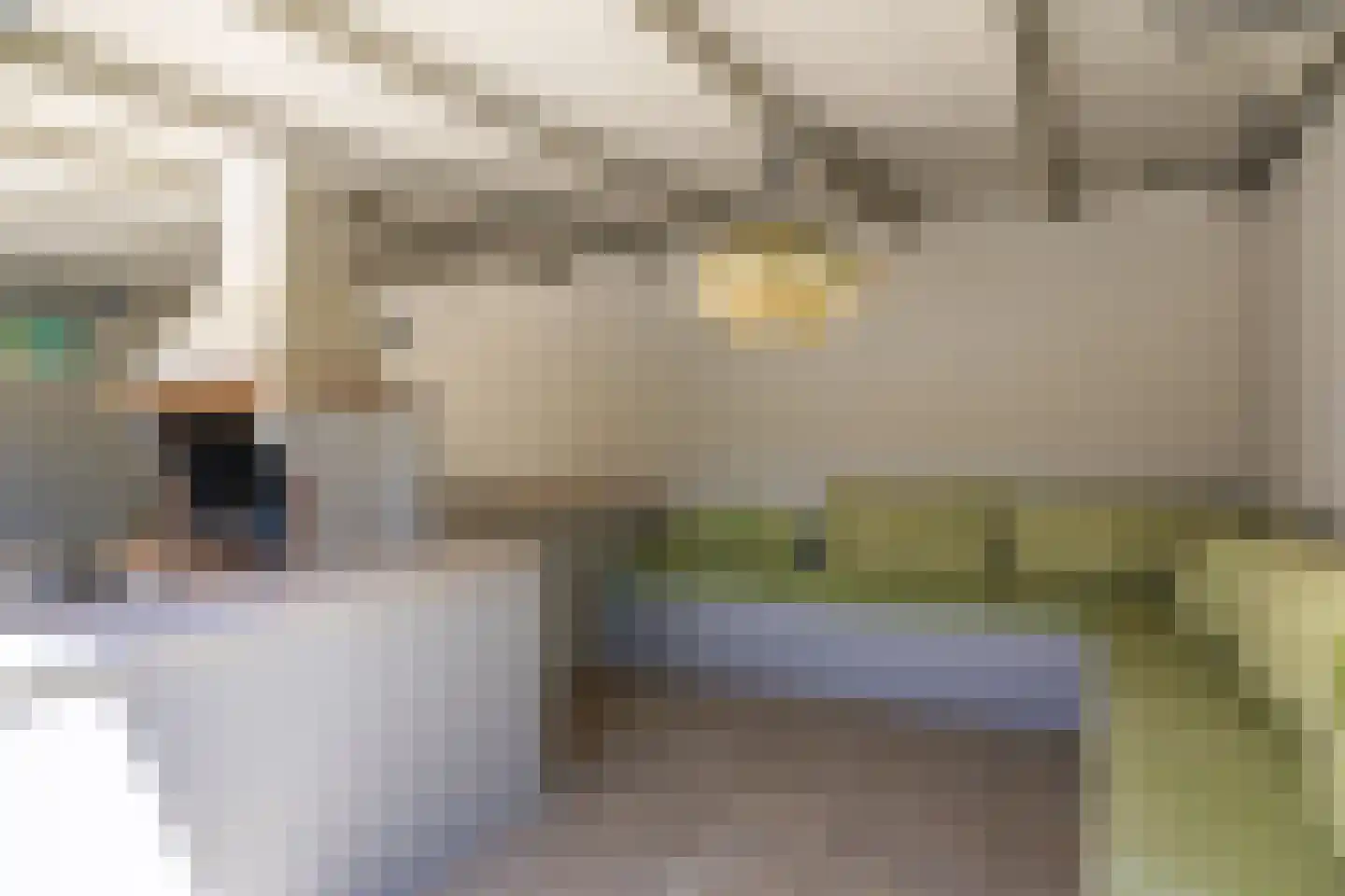 Nieuwe Weg 1 Eede thumbnail 51
