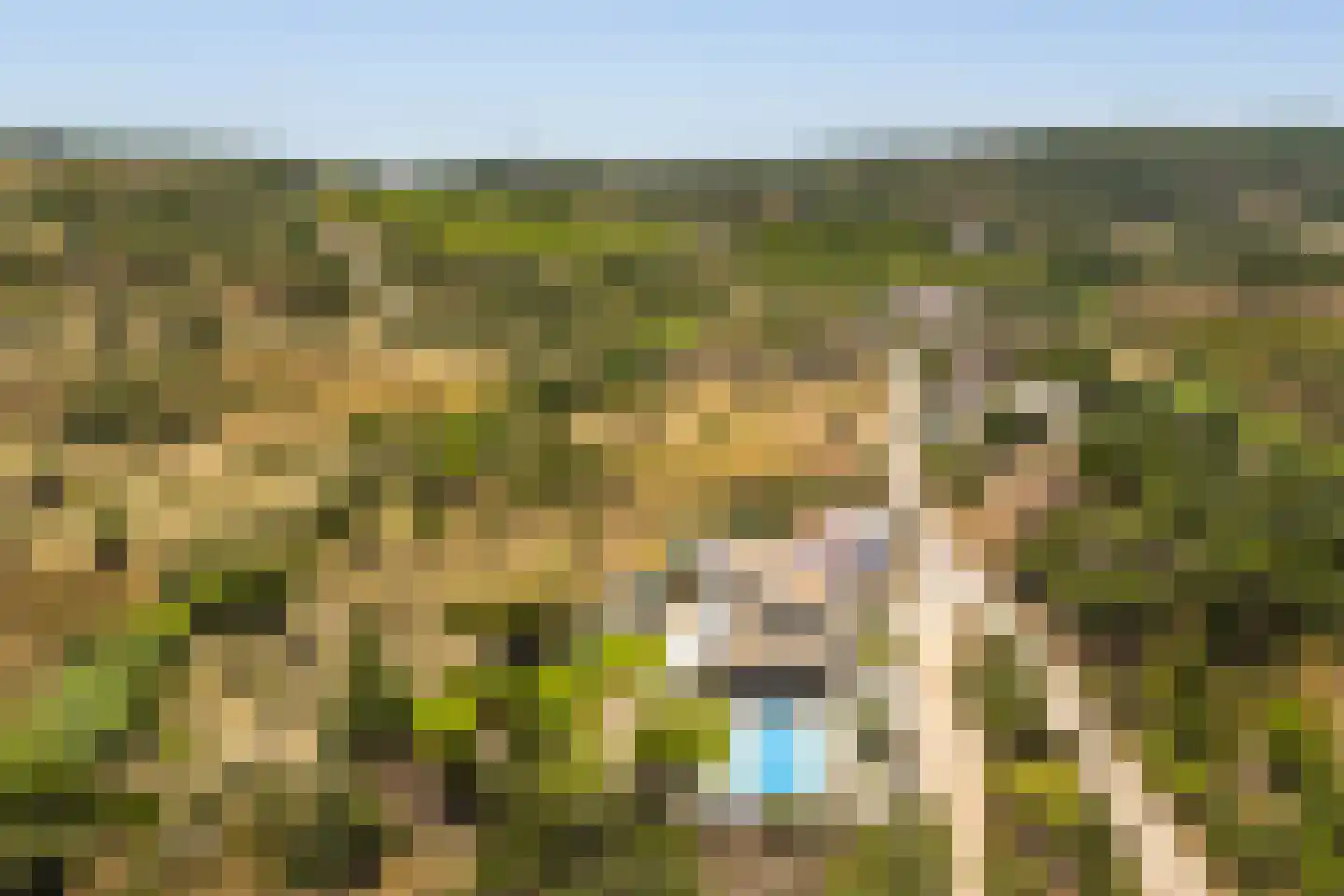 Nieuwe Weg 1 Eede thumbnail 57
