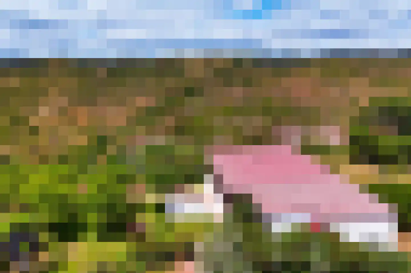 Nieuwe Weg 1 Eede thumbnail 60