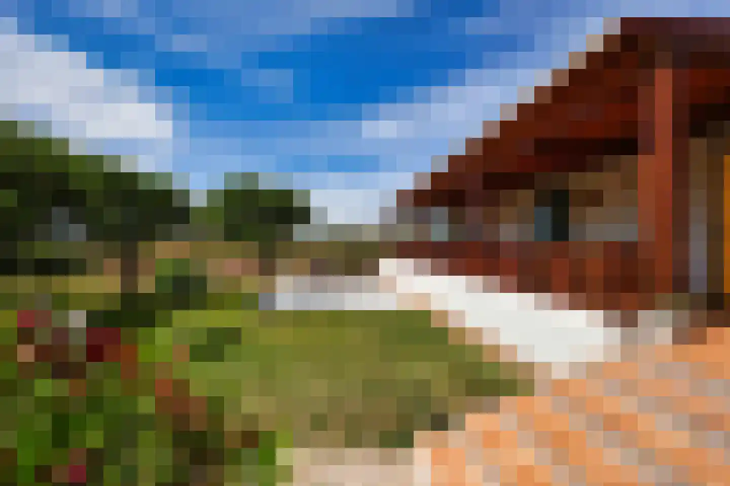 Nieuwe Weg 1 Eede thumbnail 61