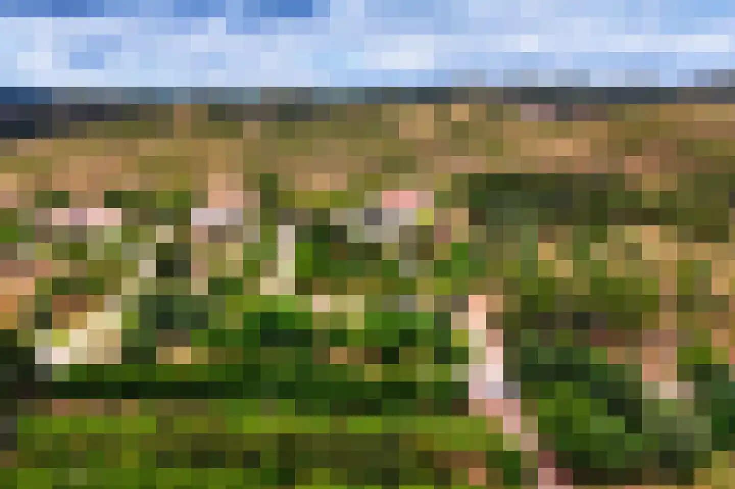 Nieuwe Weg 1 Eede thumbnail 63