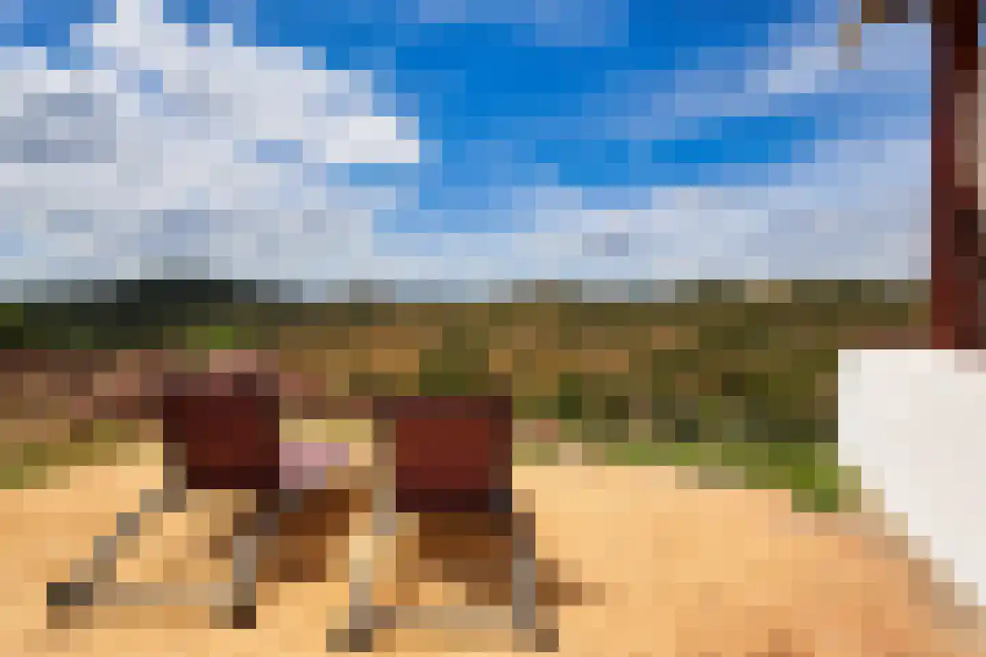 Nieuwe Weg 1 Eede thumbnail 64