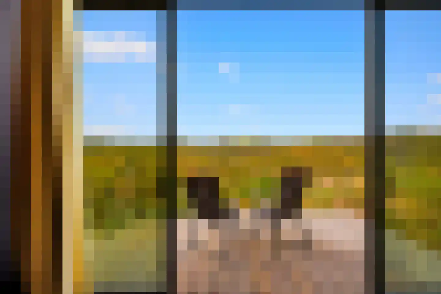 Nieuwe Weg 1 Eede thumbnail 72